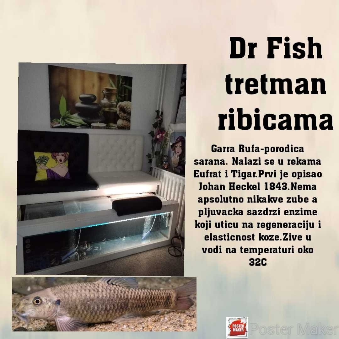 Studio Olja Diego #beograd Tretmani tela Spa tretman ribicama dr fish