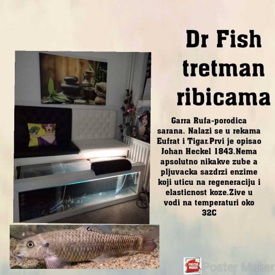 Studio Olja Diego #beograd Tretmani tela Spa tretman ribicama dr fish