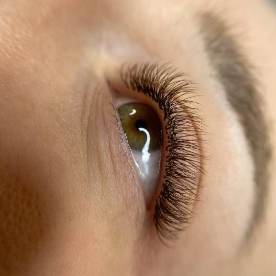 Brush and Lash #beograd