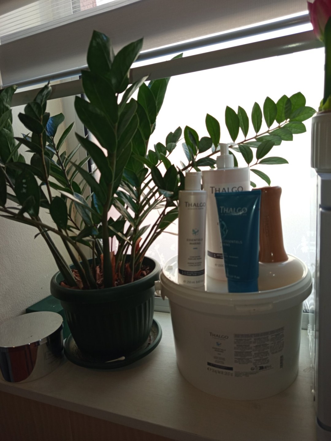 Relax body centar #zajecar Tretman lica Thalgo tretman tela algama - za dame