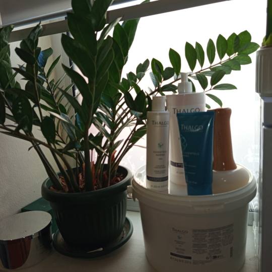 Relax body centar #zajecar Tretman lica Thalgo tretman tela algama - za dame 💠 THALA SLIM tretman