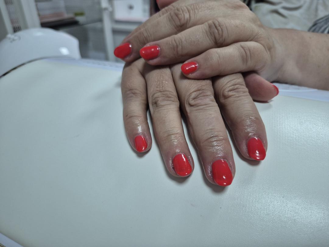 Gel lak - ruke - Shishi beauty studio, Beograd Gel lak Nokti Gel lak, Beograd, Centar, Stari grad, Dorćol