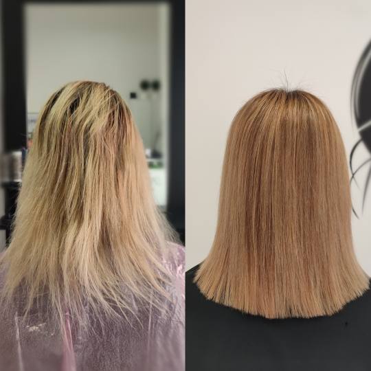 Infinity Hair #novisad Farbanje kose Farbanje cele dužine (profesionalna farba) - duga kosa