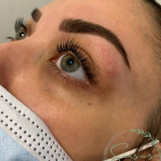 Sensus Zemun #beograd Trepavice Lashlift trepavica + farbanje obrva kanom