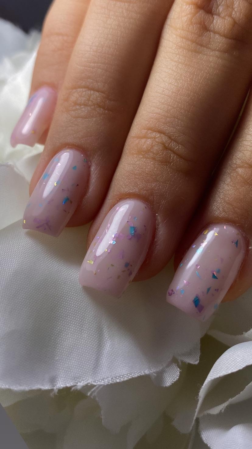 Beauty Rose Concept #beograd
