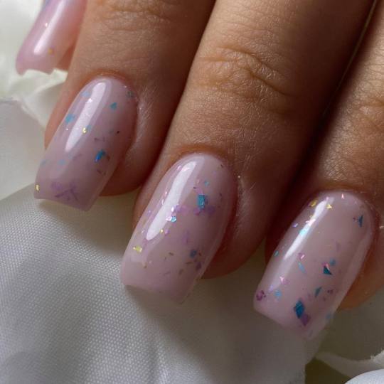 Beauty Rose Concept #beograd