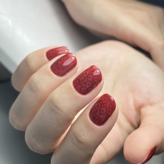 Touch Aesthetic&Medical care usluga