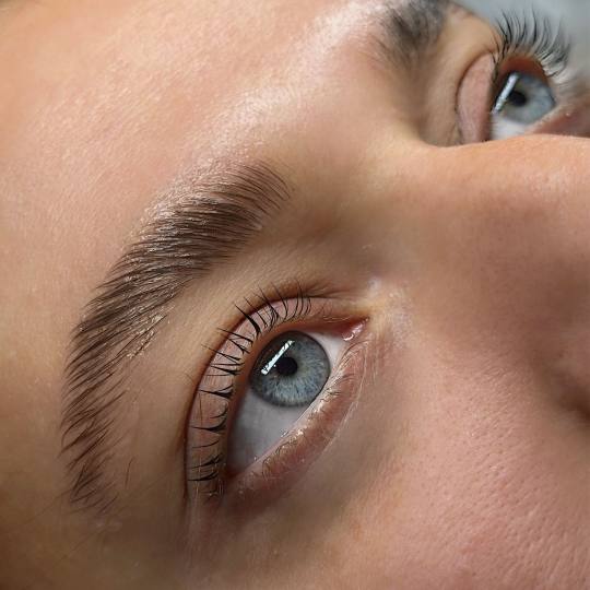 Vanilla rain beauty #beograd Trepavice Lash lift + Brow lift