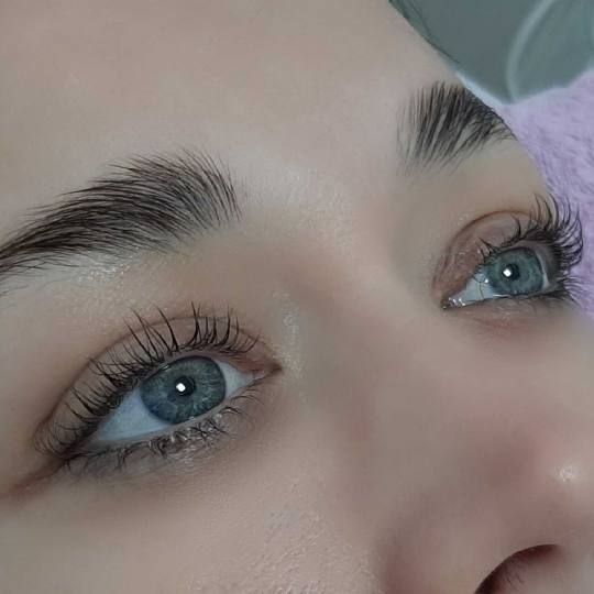 Felicita #beograd Trepavice Lash lift + brow lift (farbanje gratis)