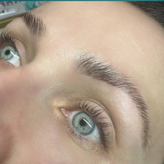 AnMi #novisad Obrve Brow lift