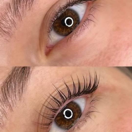 Maison de mi #beograd Trepavice Gold exclusive lashes