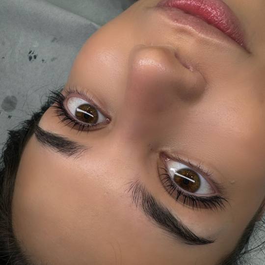 Alexandria Brow&Beauty lounge #beograd Trepavice Lash lift