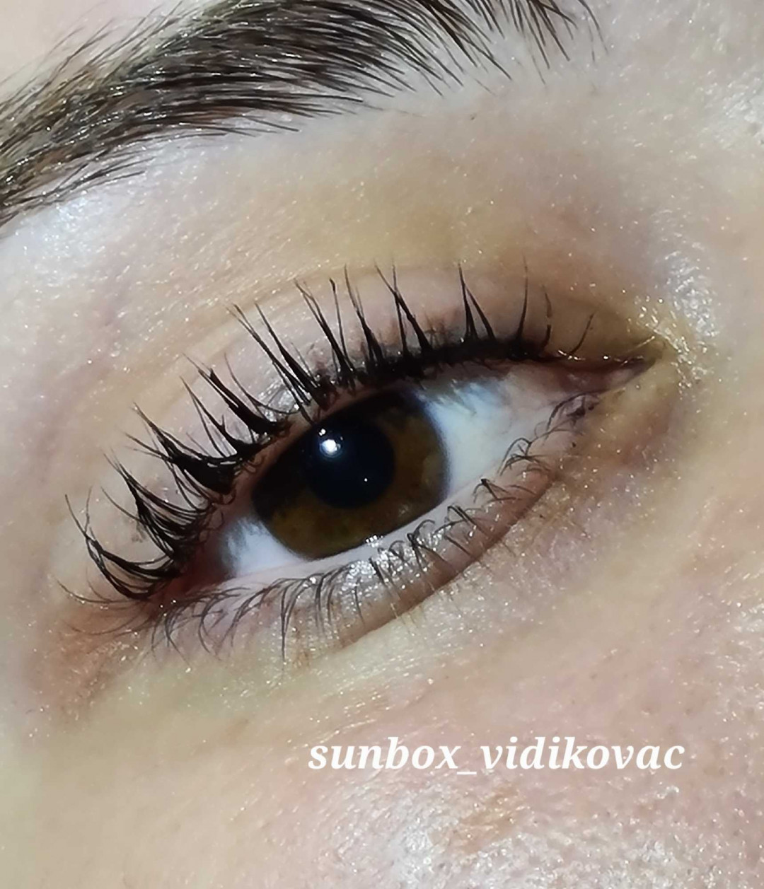 SunBox #beograd Trepavice Lash lift