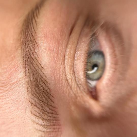 AmiSo Beauty Studio #novisad Trajna šminka Trajna šminka obrva - prirodna tehnika iscrtavanja dla�