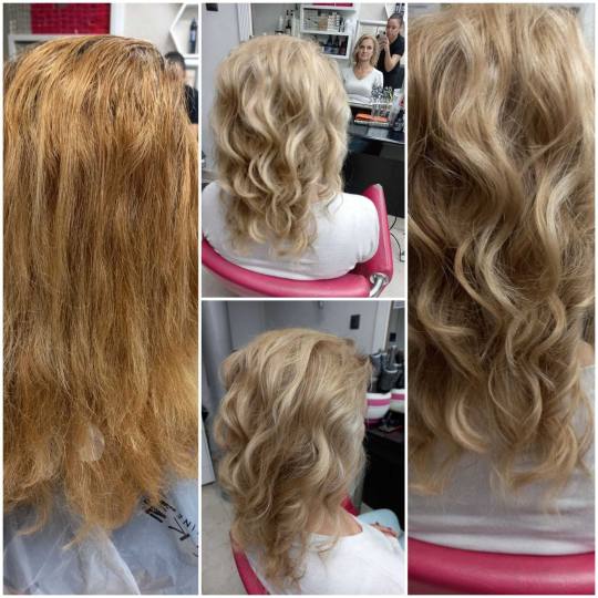 Royal cut - No Limit #beograd