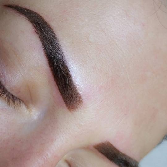 Gloss studio #nis Obrve Puder obrve + prva korekcija - do 3 meseca