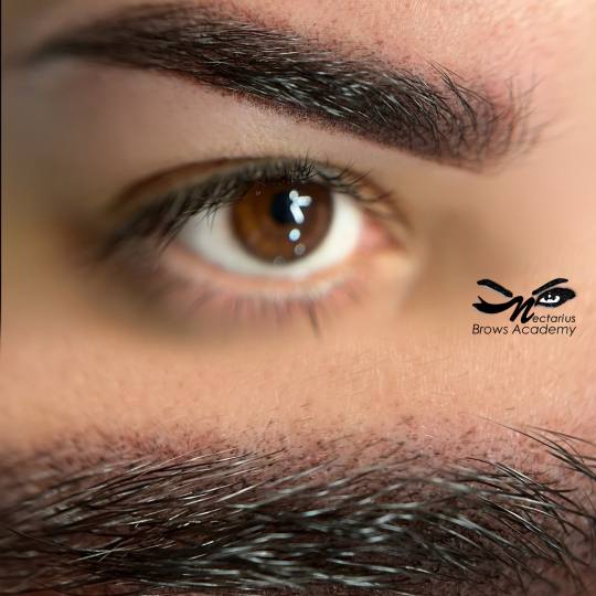 Nectarius Brows Academy #kragujevac
