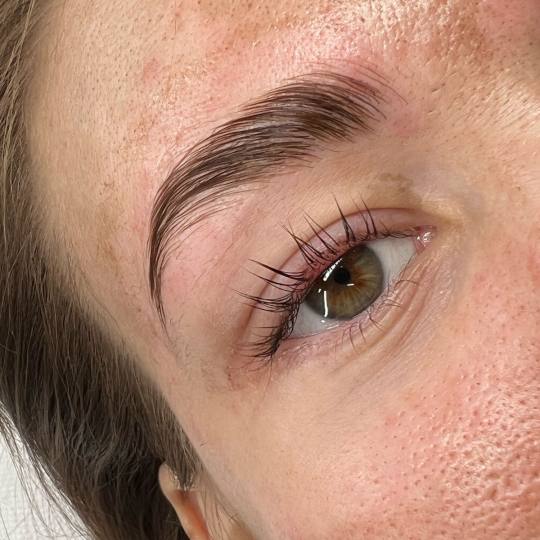 Alexandria Brow&Beauty lounge #beograd Trepavice Lash lift + brow lift
