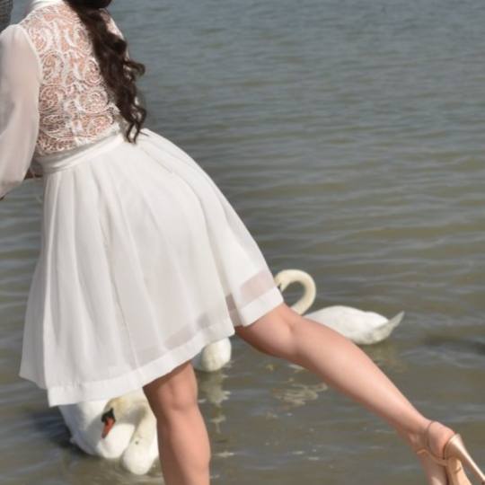 Royal cut - No Limit #beograd