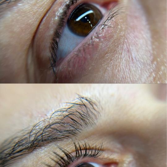 Alexandria Brow&Beauty lounge #beograd Trepavice Lash lift
