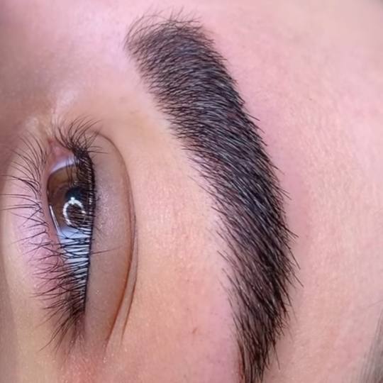 Esthetique Privé #beograd Obrve Trajna šminka obrva - PHI BROWS MICROBLADING