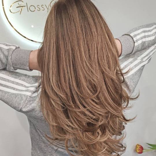 Atelje Glossy Hair #beograd Keratinski tretmani Pramenovi / balayage + Glossy tretman + feniranje - 
