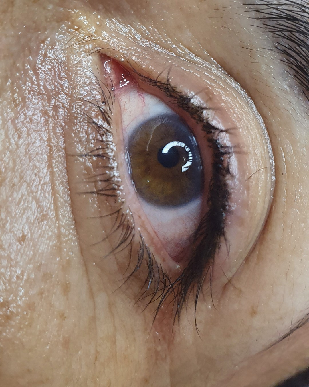 Studio O #novisad Trajna šminka Trajna šminka - ajliner