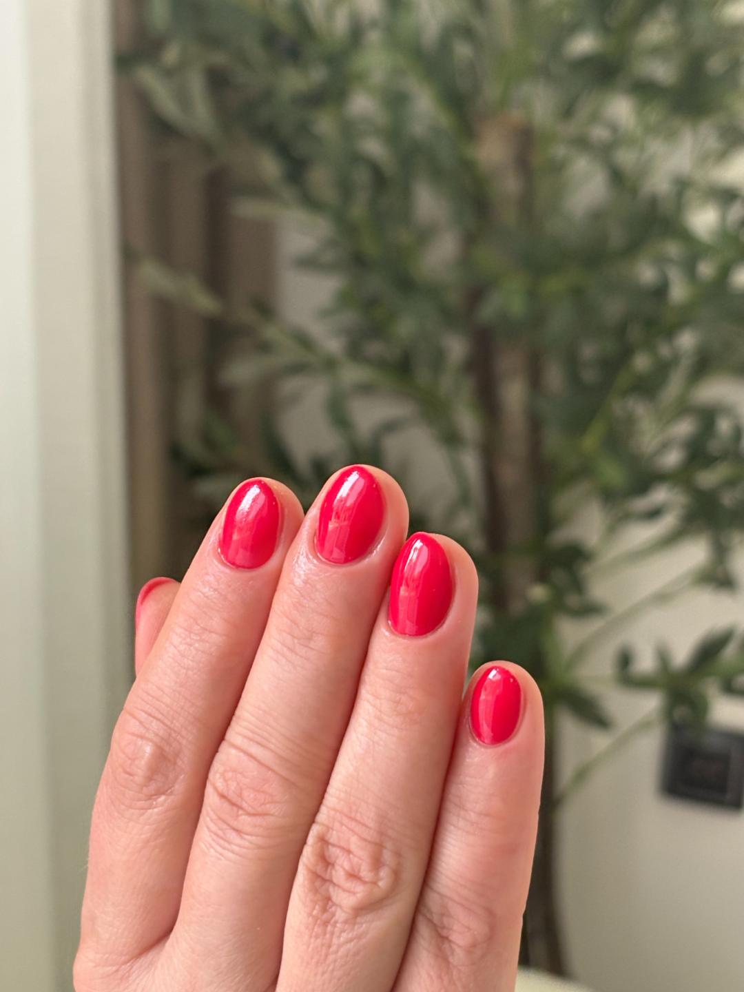 Manikir + shellac - Beauté by Nina Cvejić, Niš Manikir Nokti Manikir, Niš, Medijana