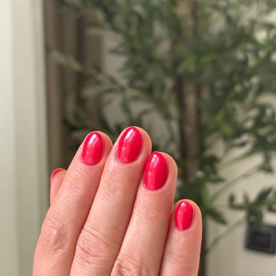 Beauté by Nina Cvejić #nis Manikir Manikir + shellac