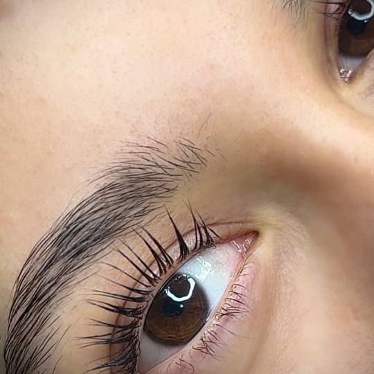 Studio Eleven Ladies&Gentlemen usluga