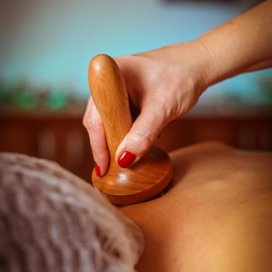 PJ Health & Beauty Center #beograd Anticelulit masaža Maderoterapija leđa relax - 30 minuta