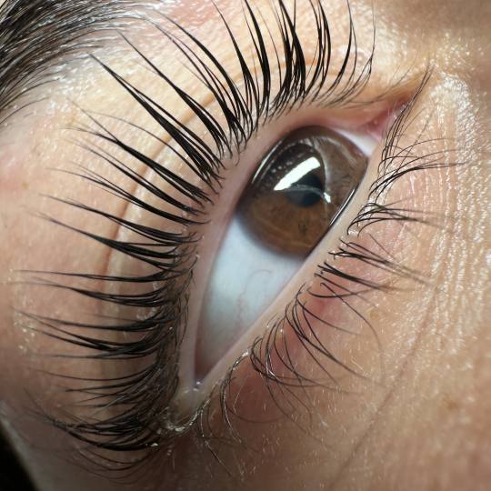 Let's go Ladies #beograd Trepavice Lash lift + farbanje trepavica + Botox