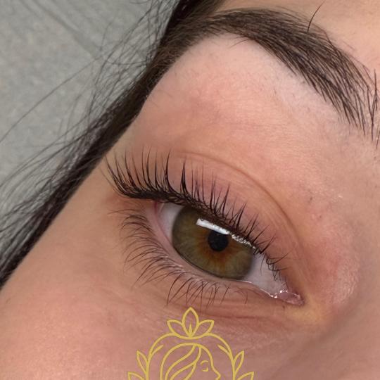 La Hermosa Beauty Studio #beograd Trepavice Lash lift + farbanje trepavica