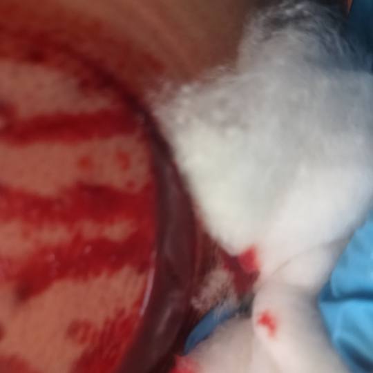 Relax body centar #zajecar Masaža teglama Mokra hidžama