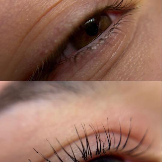 Alexandria Brow&Beauty lounge #beograd Trepavice Lash lift