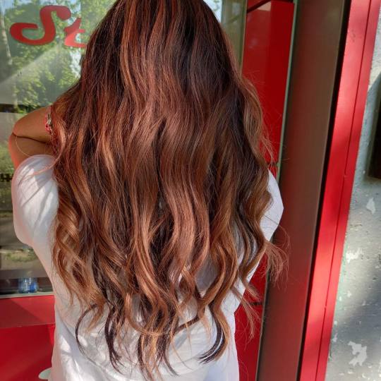 Royal cut - No Limit #beograd