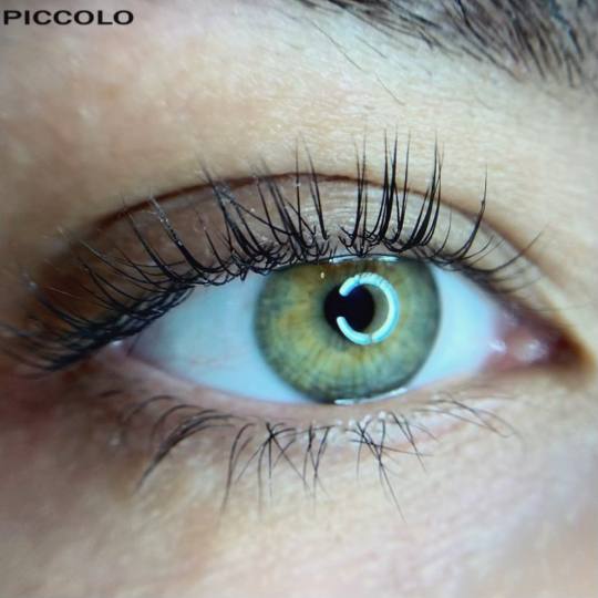 Elite Studio Piccolo #beograd Trepavice Lash lift + botox + farbanje