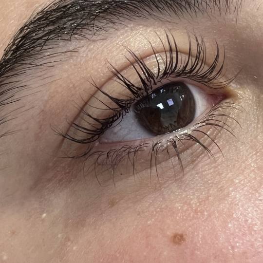 Let's go Ladies #beograd Trepavice Lash lift + farbanje trepavica + Botox