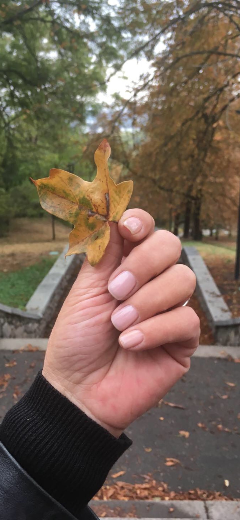 Kapriz #beograd Manikir Japanski manikir