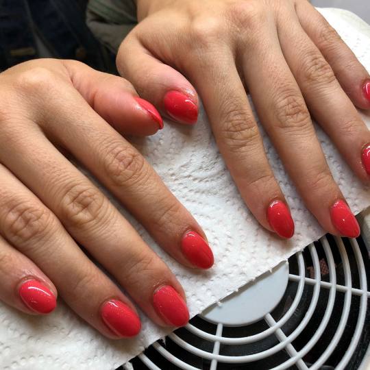 Alfaparf Nails #beograd Ojačavanje noktiju Ojačavanje noktiju gelom + gel u boji