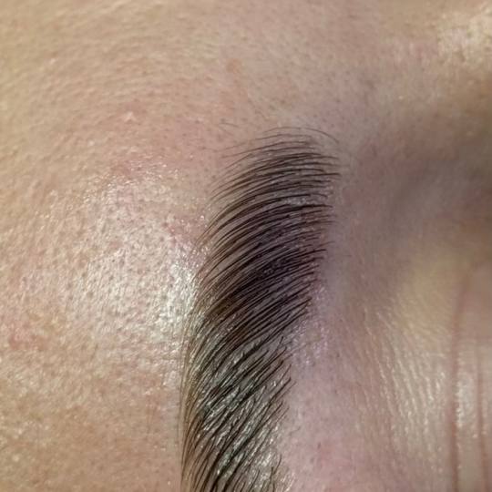 Studio 21 #beograd Obrve Brow lift - korekcija + farbanje obrva