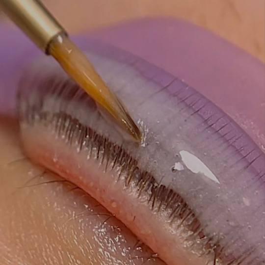 Nega i lepota NS 1 #novisad Trepavice Lash lift
