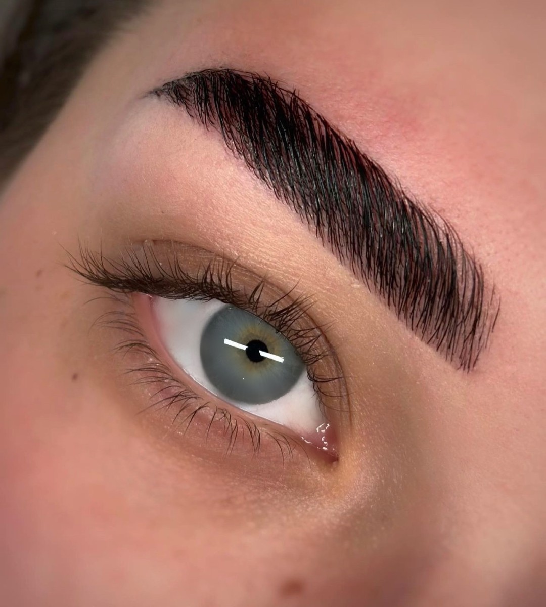 Brow lift + farbanje obrva - Atelier Beauty Bar, Niš Obrve Lice Obrve, Niš, Medijana