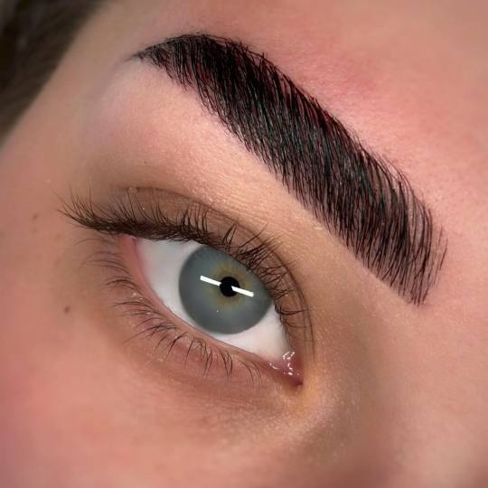 Atelier Beauty Bar #nis Obrve Brow lift + farbanje obrva BROW LIFT
