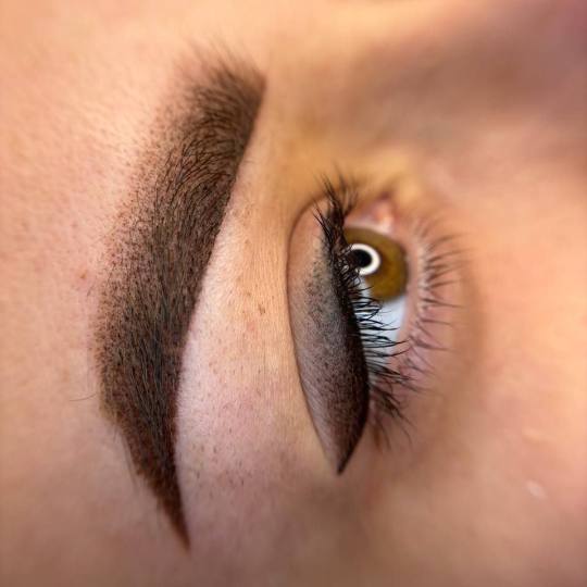 Frida beautycare #jagodina Trajna šminka Trajna šminka obrva