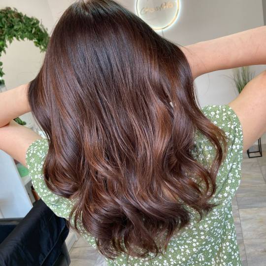 Atelje Glossy Hair #beograd Botox kose Botoks kose Remedy - sve dužine kose