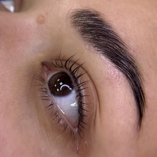 Magic Story Studio #novisad Trepavice Lash lift + Brow lift Lice