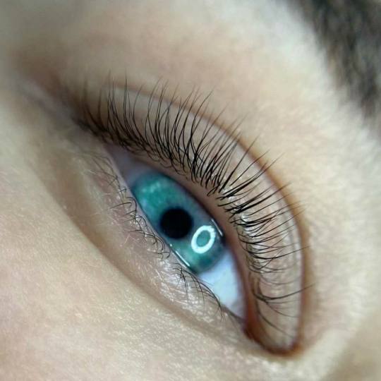 Right Beauty #beograd Trepavice Lash lift (bez farbanja)