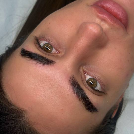 Alexandria Brow&Beauty lounge #beograd Obrve Brow lift