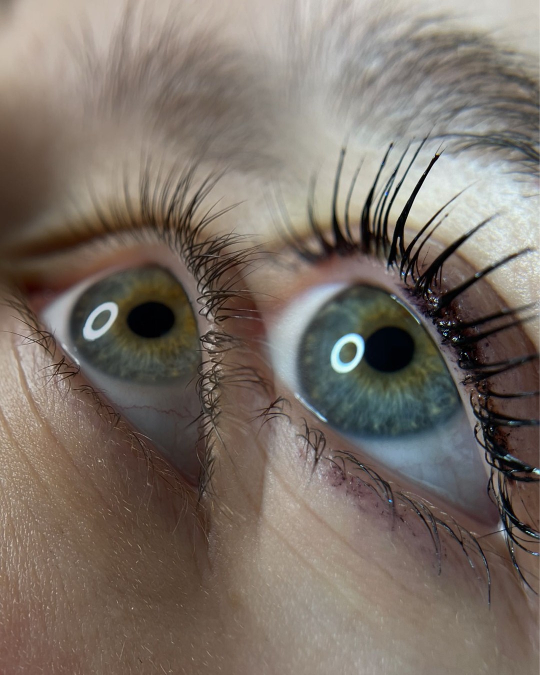 Hermanita beauty studio #beograd Trepavice Beauty lash box